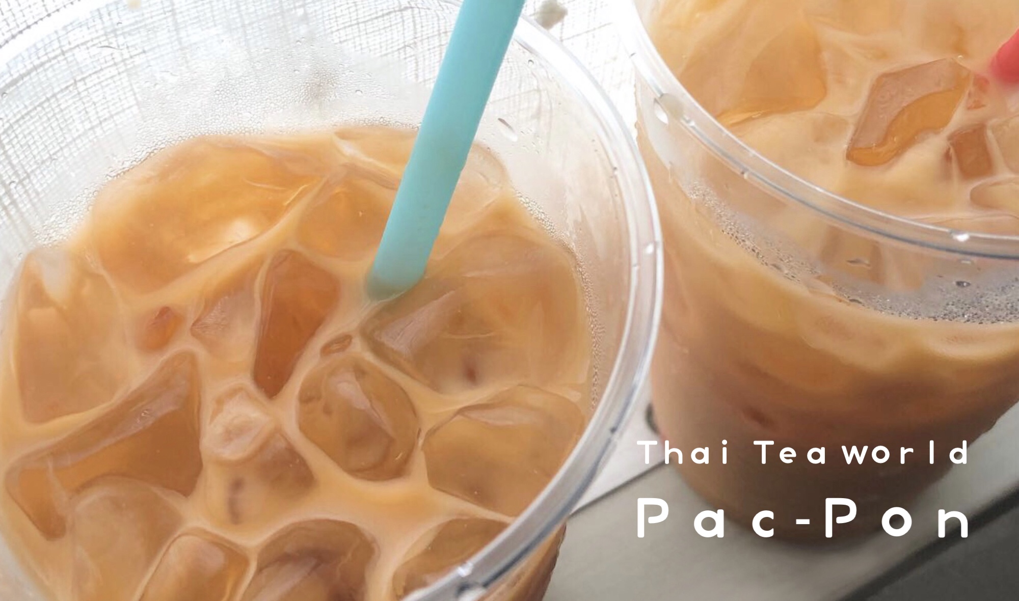 〈HP〉Thai Tea world Pac-Pon